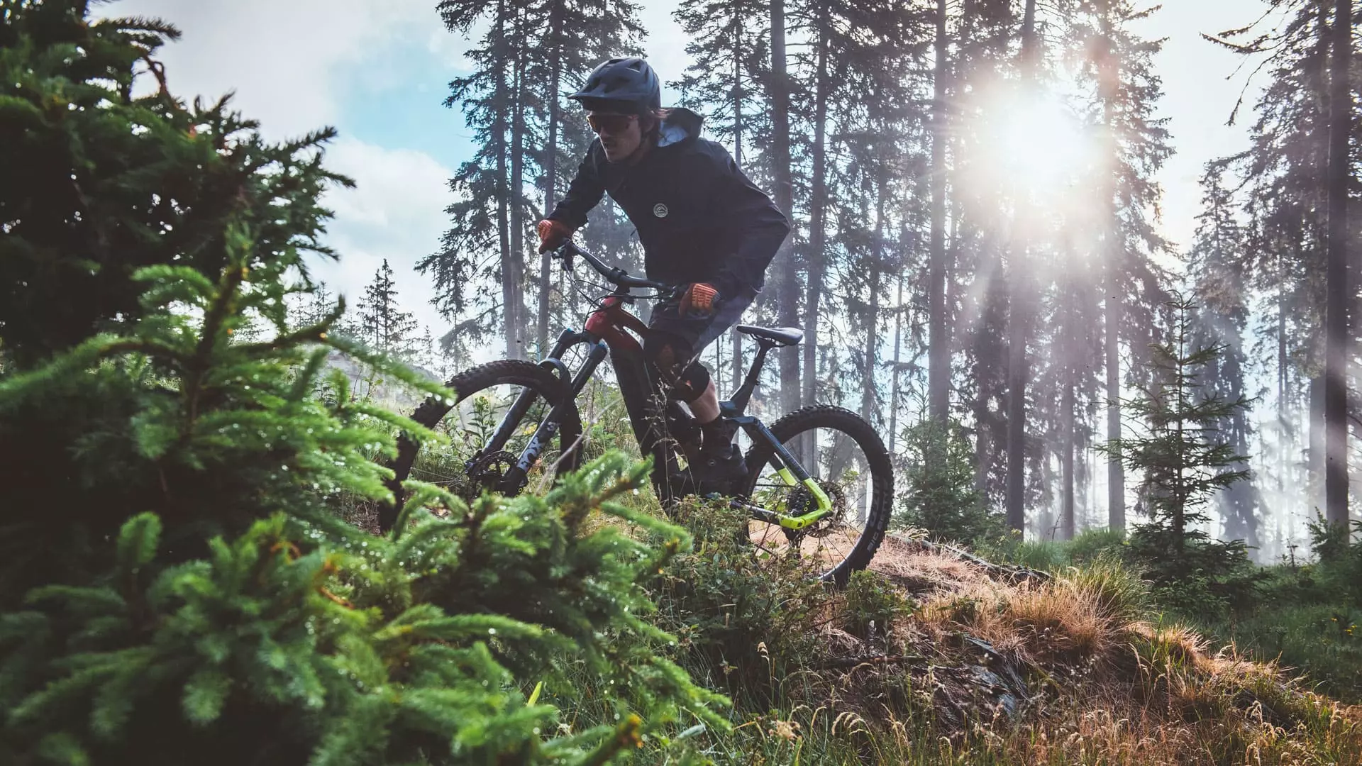 Wald Erlebnis mit dem Bike