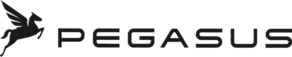 HAIBIKE PEGASUS Logo
