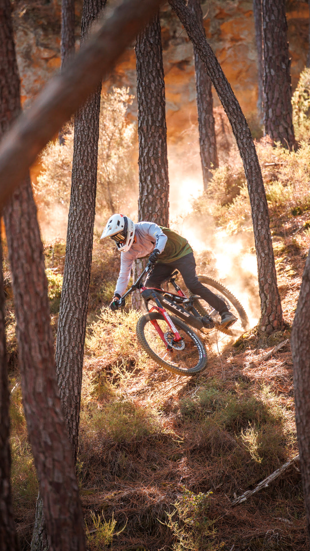 Downhillbiking mit hochwertigen Bikes von Tallafuss Mountainbiking mit hochwertigen Bikes von Tallafuss